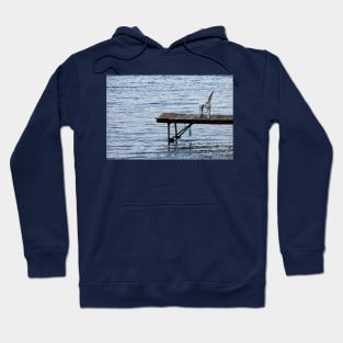 Summer's End Hoodie